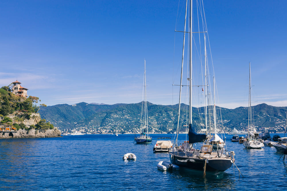 064fb3d82edc6fa933bf93c545c7a12390c82104 (1) (1)